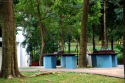 Blk 534 Panshan Grove (Bukit Panjang), HDB 4 Rooms #623058111